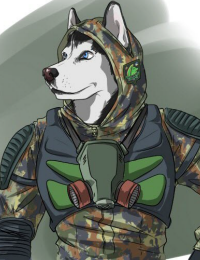 WOLFDOG аватар