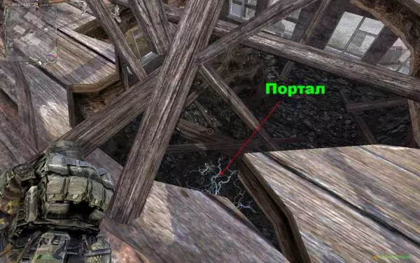 Сталкер Наемник Сом