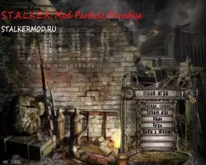 Particle Paradise
