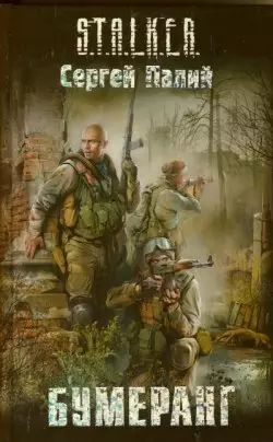 Аудиокнига Сталкер Бумеранг (2010/mp3)