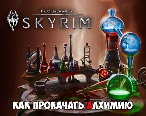 Как прокачать алхимию в Скайрим Как прокачать алхимию в Скайрим