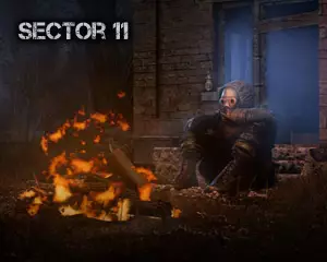 SECTOR 11