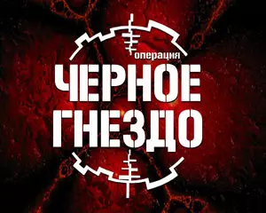 Операция Чёрное гнездо Операция Чёрное гнездо
