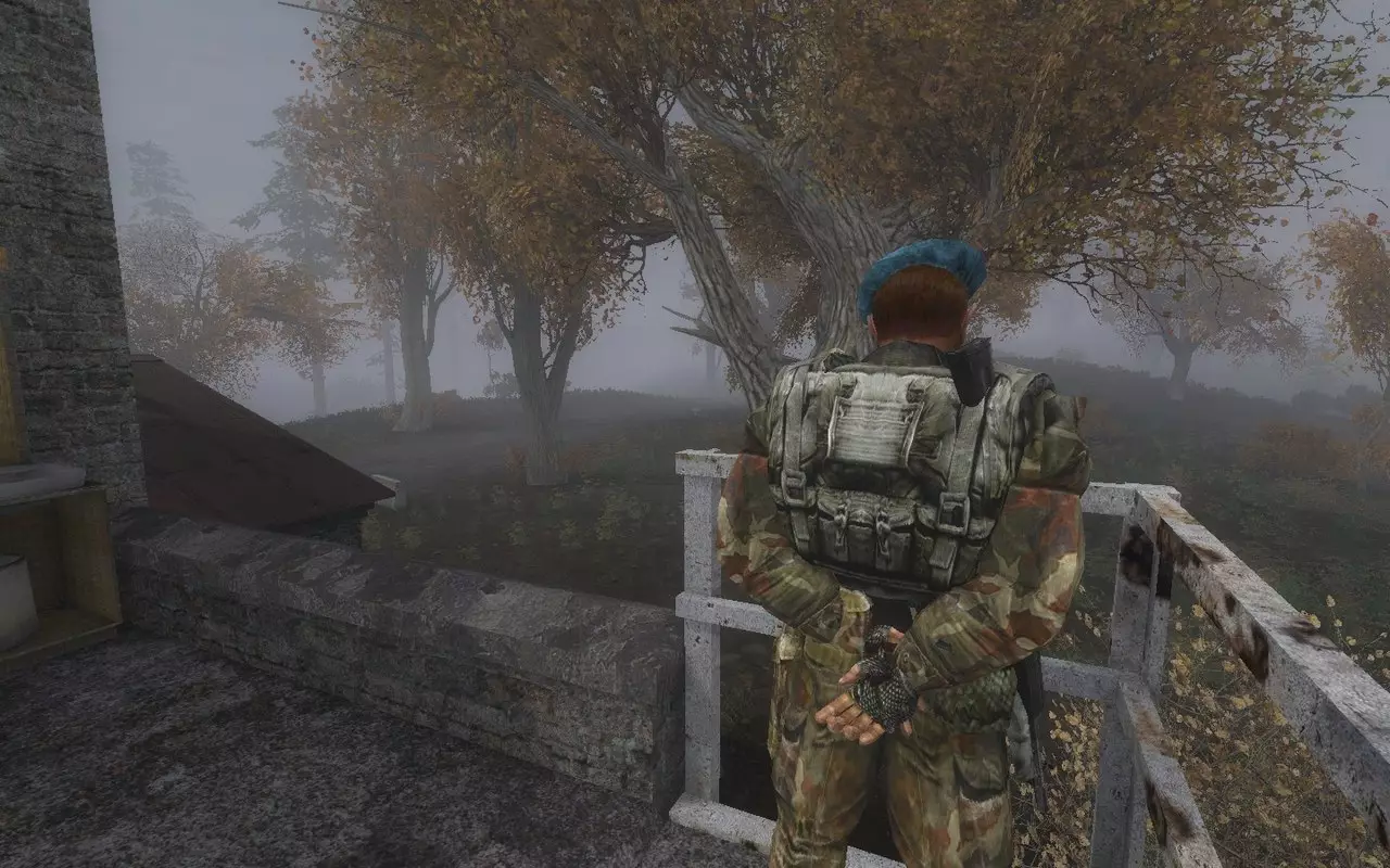 stalker call of chernobyl teamlite 