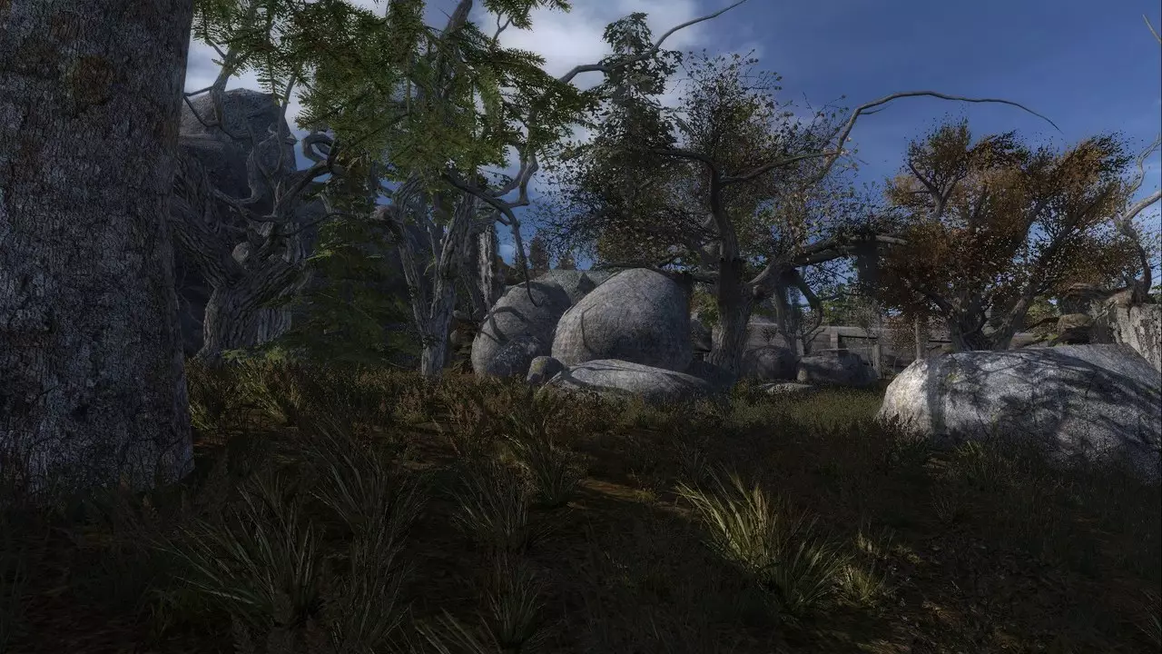 stalker call of chernobyl teamlite  