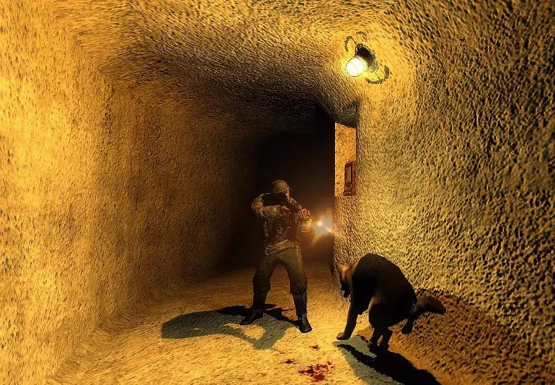 stalker wolfenstein  