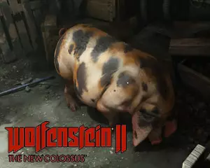 Как покормить свинью в Wolfenstein 2 The New Colossus Как покормить свинью в Wolfenstein 2 The New Colossus