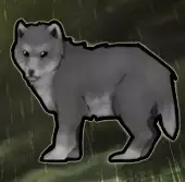 volk