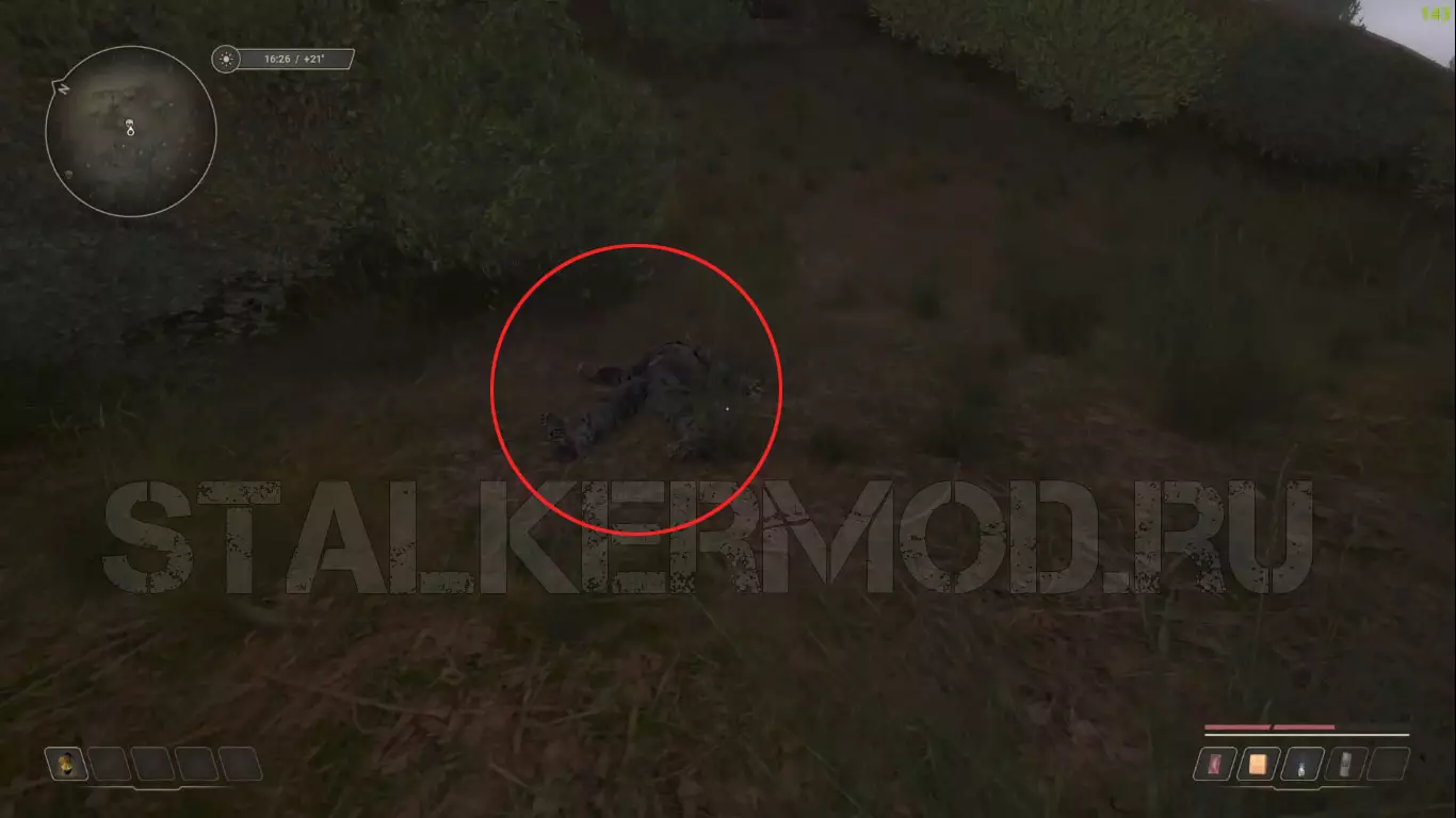 Барин на Кордоне True Stalker