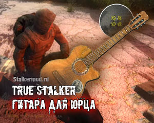 Гитару для Юрца в True Stalker