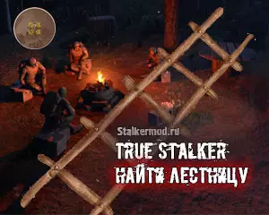 Лестница в True Stalker