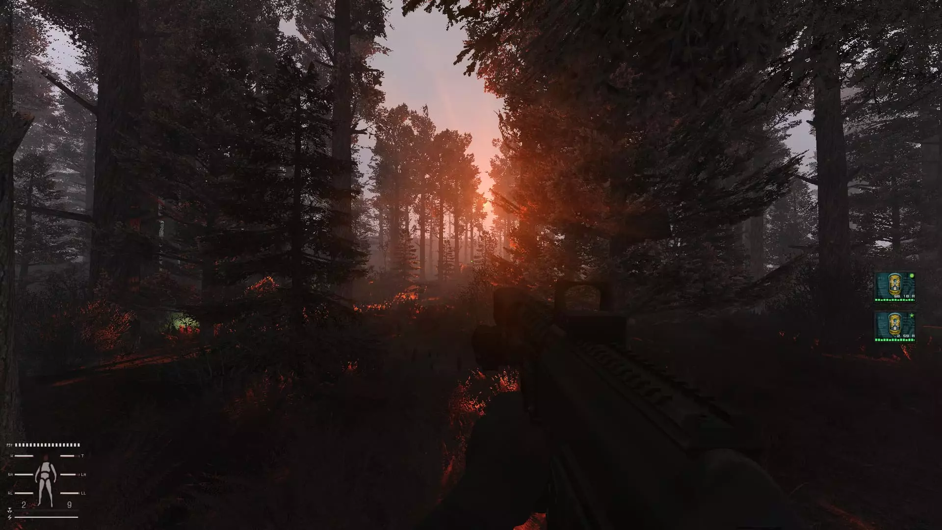 stalker anomaly  gamma