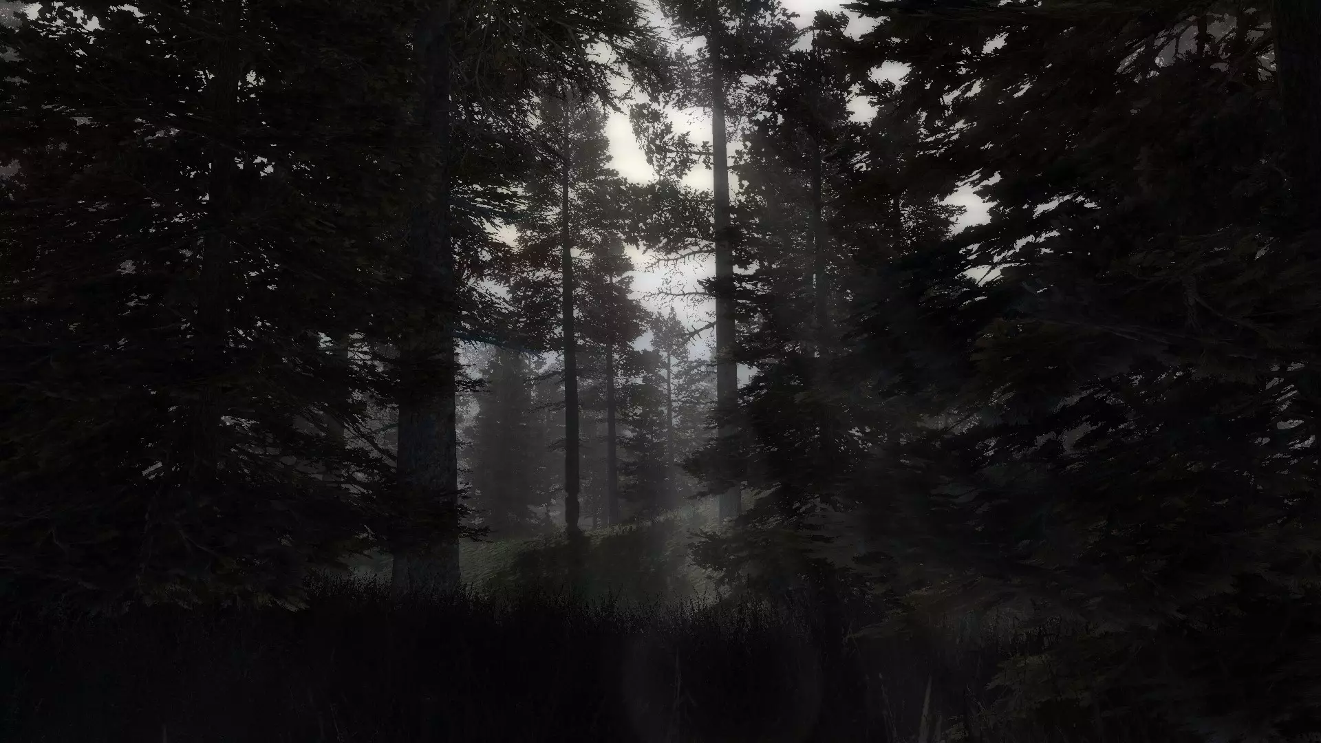 Сталкер Dark Path