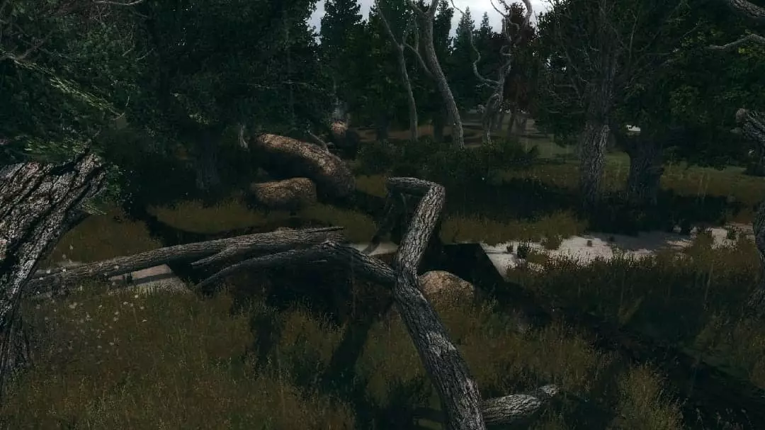 Сталкер Farthest Edge Territory