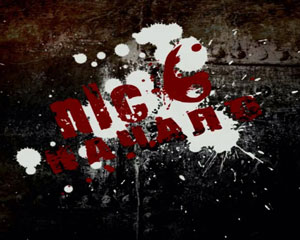 NLC 6 Начало v.6.008