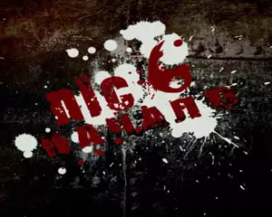 NLC 6 Начало v.6.008
