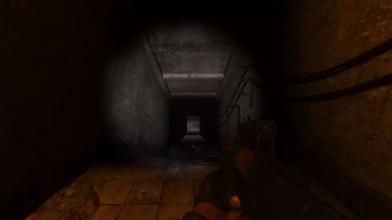 S.T.A.L.K.E.R. Ликвидация