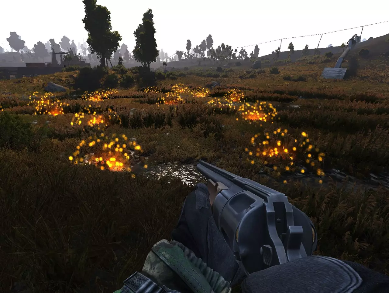 Anomaly Medium 4.1