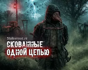 Скованные одной цепью