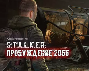 Пробуждение 2055