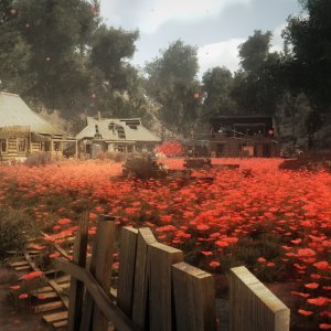 Anomaly Маковое поле