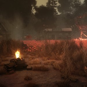 Anomaly Маковое поле