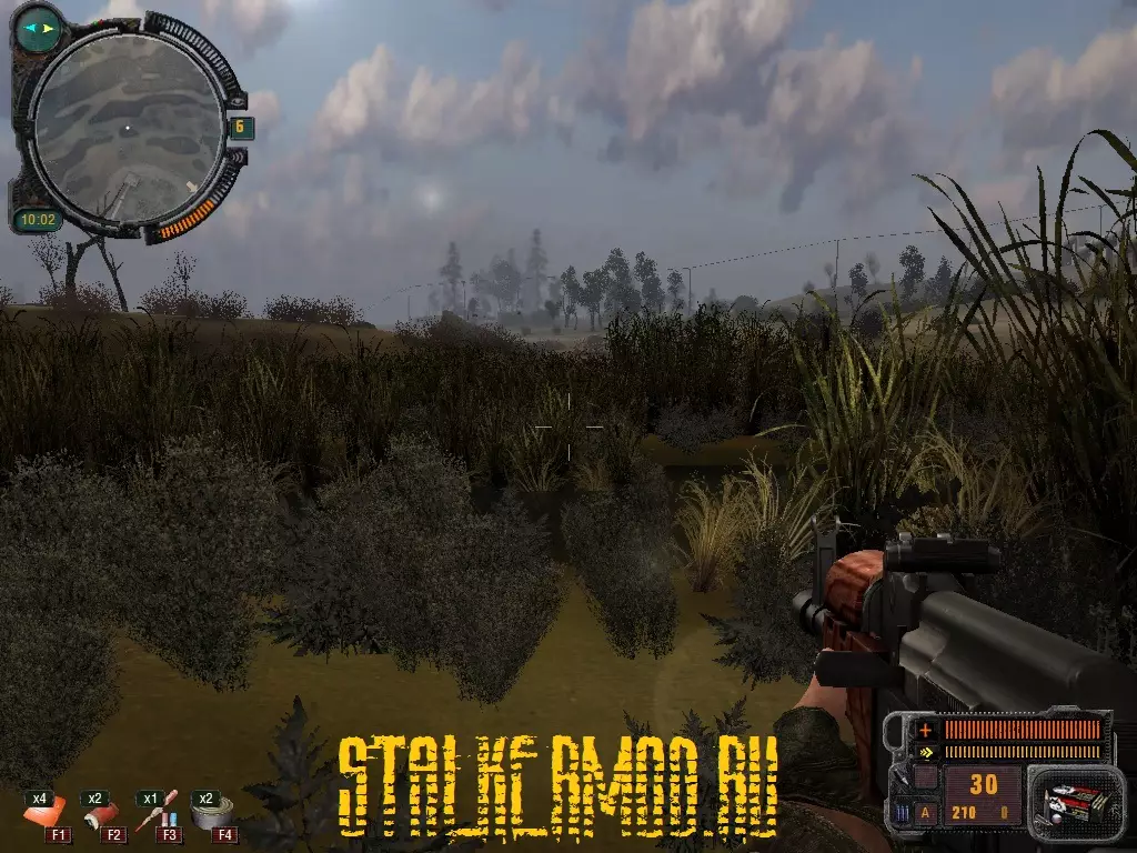 Stalker Наёмный Призрак Комариная Плешь