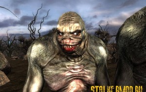 Народная Солянка 2011 - DMX Edition