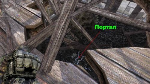 Сталкер Наемник Сом