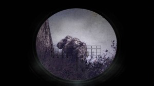 Сталкер Время Альянса