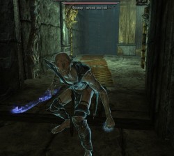 Falmer Nightprowler 