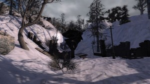 Сталкер Холодная Кровь