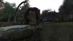 Сталкер Zone Apocalypse
