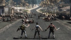 Infestation Survivor Story