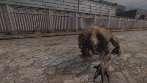 Сталкер Равновесие