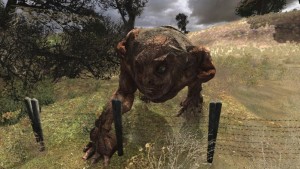 Сталкер Равновесие