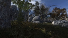 stalker call of chernobyl teamlite  