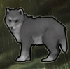 volk