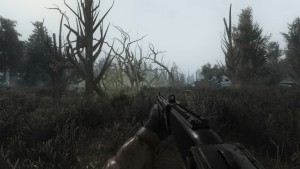 Stalker Anomaly 1.5.2 Custom
