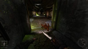 Anomaly GAMMA Repack от SEREGA-LUS