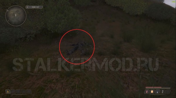 Барин на Кордоне True Stalker