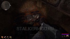 Dead City Special Release Бурый