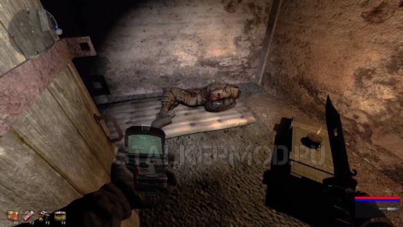 Dead City Special Release сталкер Каштан