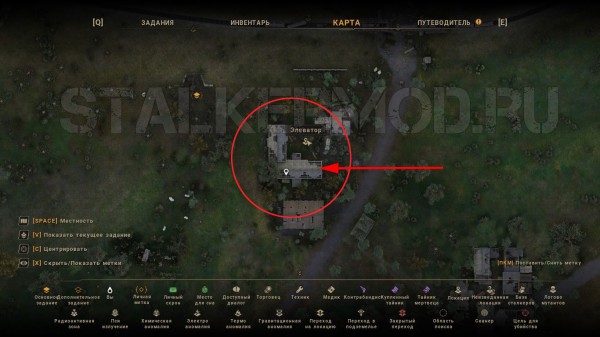 Найти Кирюху в True Stalker