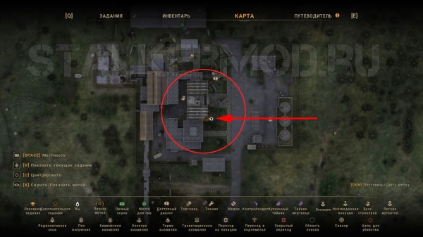 Сталкер Немой True Stalker