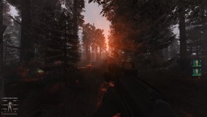 stalker anomaly  gamma 