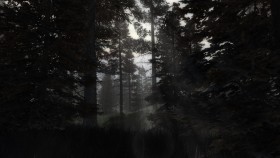 Сталкер Dark Path