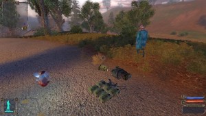 Сталкер Закат X-18
