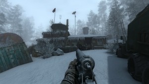 Alone in Windstorm: Fallen Bear