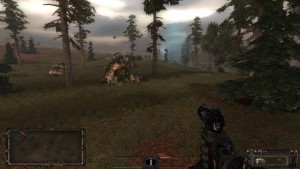 Народная солянка 2010